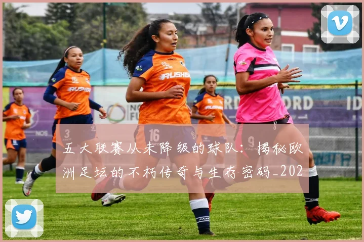 五大联赛从未降级的球队：揭秘欧洲足坛的不朽传奇与生存密码_20260611141014